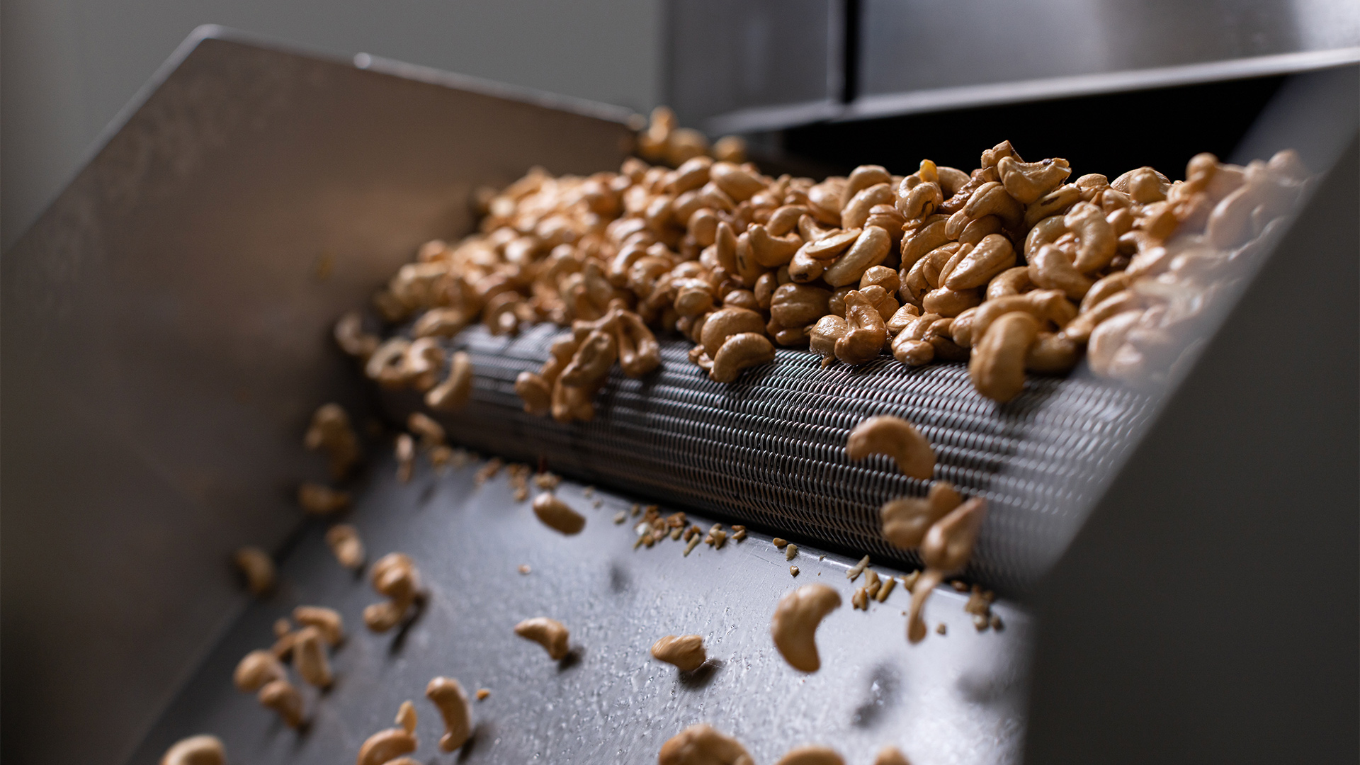Close up of Cashews being oiled and seasoned